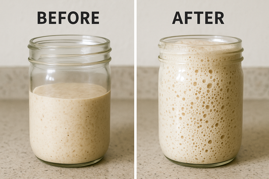 How to Care for Your Sourdough Starter: A Baker’s Journal